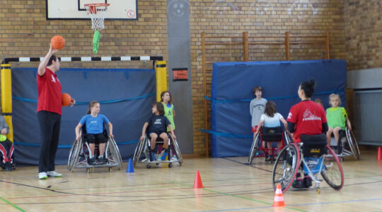 rollis@school rollt an